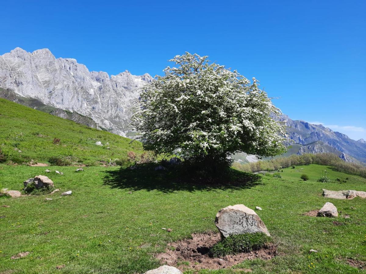 Hosteria Picos De Europa Potes Exterior foto